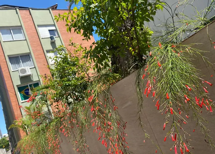 Cobertura Moinhos De Vento Apartamento *